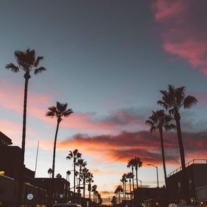 Meet your Posher, Mackenzie